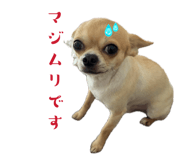 844395625