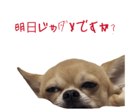 844395627