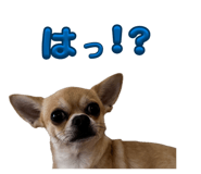 844395630