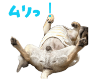 844395632