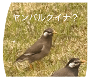 844396464