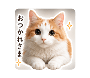 844396492