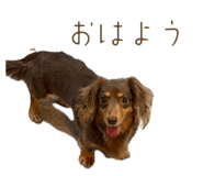 844396617