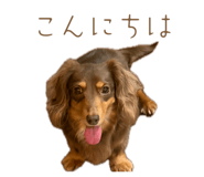 844396618