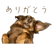 844396626