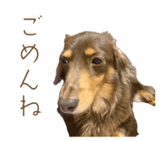 844396627