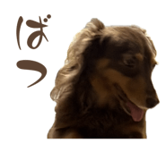 844396630
