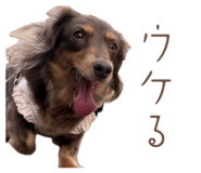 844396632