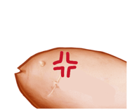 844396752