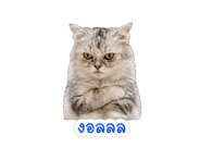 844397284