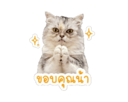 844397285