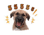 844397332