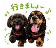 844405531