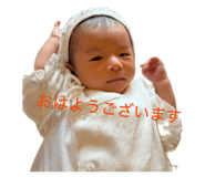 844405588