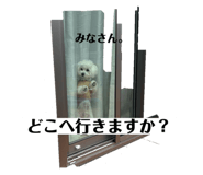 844406184