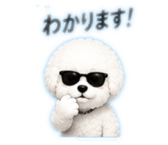 844406553
