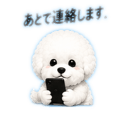 844406557