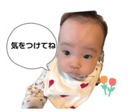 844406622