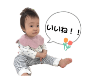 844406627