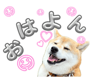 844406819