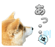 844406820
