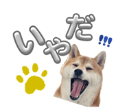 844406824