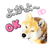 844406826