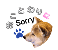 844406827