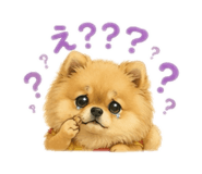 844406890