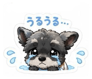 844407006