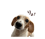 844407041