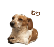 844407048
