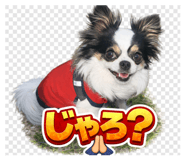 844407305