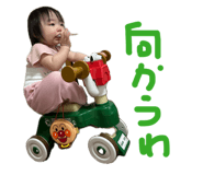 844407541