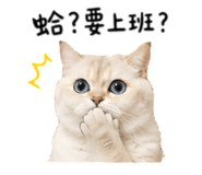 844413475