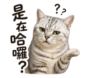 844413849
