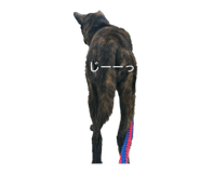 844414633