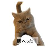 844415411