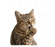 844416773