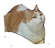 844416911