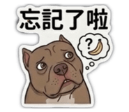 844417617