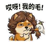 844418097