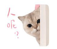 844418272