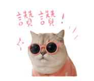 844418275