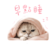 844418277