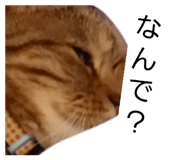844418911
