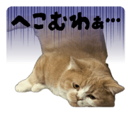 844419401