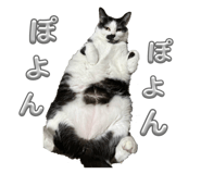 844419450