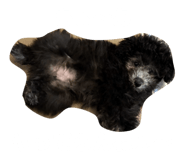 844419502