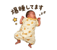 844420161